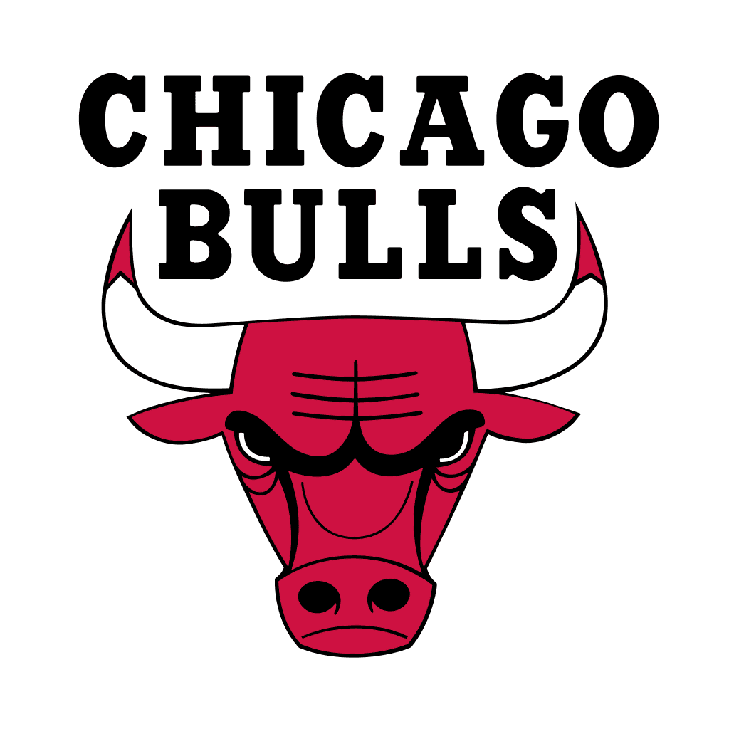 Chicago Bulls original artwork