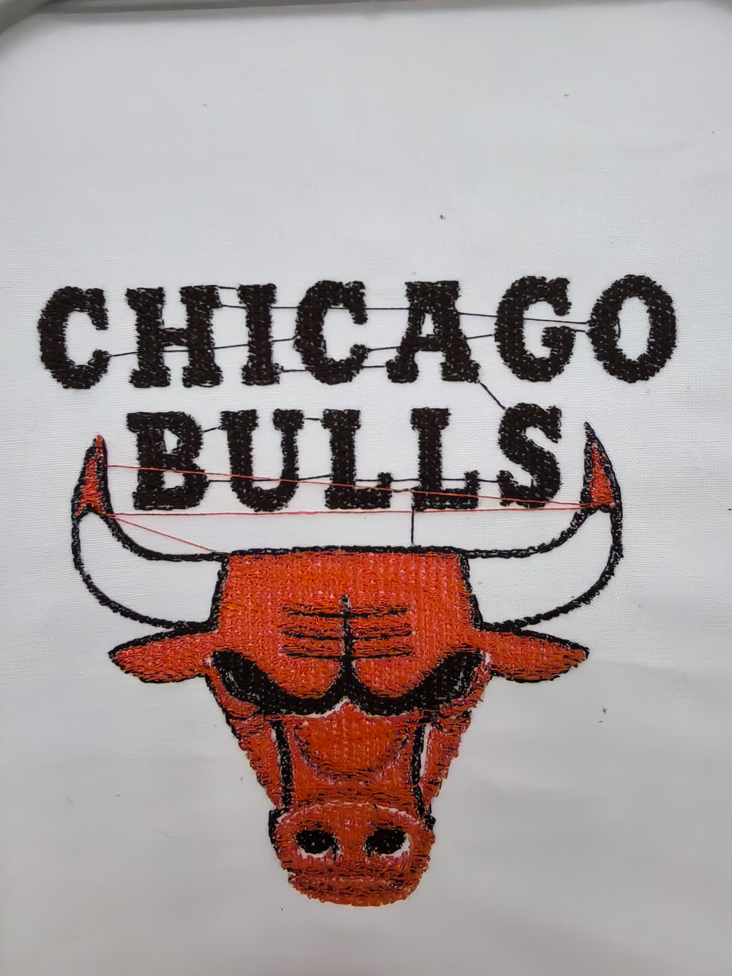 Chicago Bulls physical test with disclosed limitations