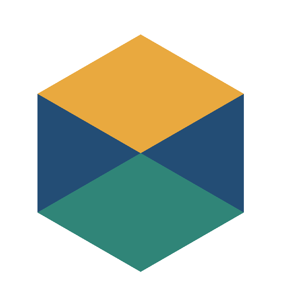 Geometric Logo & ROAM original artwork